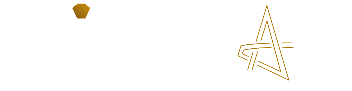 Vip & fan logo